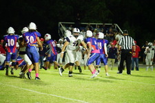 Enlarge photo 166