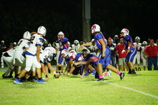 Enlarge photo 168