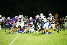 Enlarge photo 169