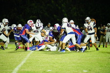 Enlarge photo 170