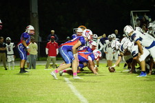 Enlarge photo 172