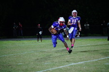 Enlarge photo 183