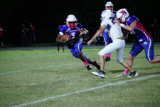 Enlarge photo 184