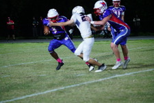 Enlarge photo 187