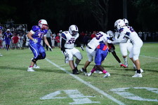 Enlarge photo 207