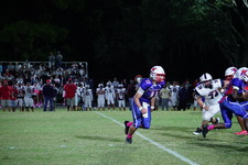 Enlarge photo 212