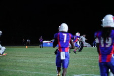 Enlarge photo 216