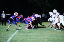 Enlarge photo 224