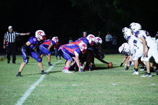 Enlarge photo 225