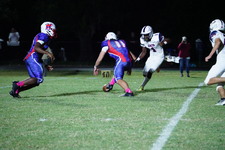 Enlarge photo 233