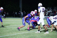 Enlarge photo 234