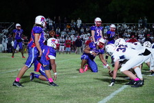 Enlarge photo 259