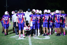 Enlarge photo 270