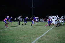 Enlarge photo 277