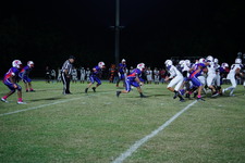 Enlarge photo 276