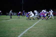 Enlarge photo 278