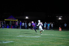Enlarge photo 331