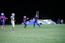 Enlarge photo 341