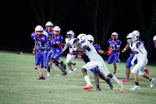 Enlarge photo 355