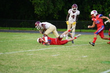 Enlarge photo 40