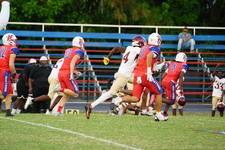 Enlarge photo 45