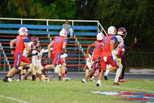 Enlarge photo 47