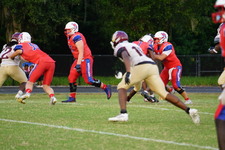 Enlarge photo 54