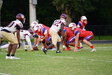 Enlarge photo 61