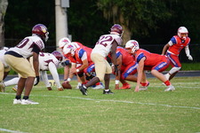 Enlarge photo 64