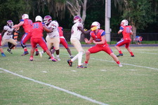 Enlarge photo 81