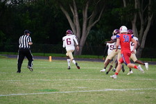 Enlarge photo 93