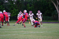 Enlarge photo 103