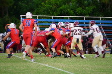 Enlarge photo 120