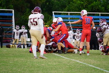 Enlarge photo 124