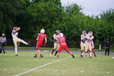 Enlarge photo 137