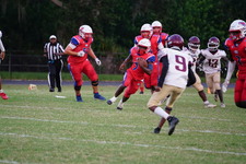 Enlarge photo 143