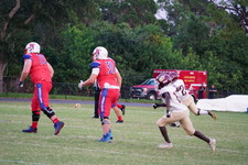 Enlarge photo 148