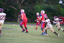 Enlarge photo 149