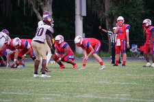 Enlarge photo 153
