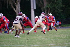 Enlarge photo 154