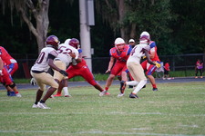 Enlarge photo 155