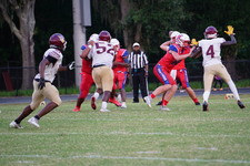 Enlarge photo 158