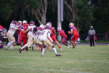 Enlarge photo 163