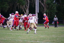 Enlarge photo 164