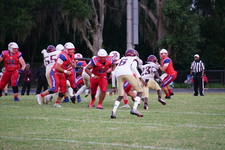 Enlarge photo 165