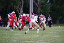 Enlarge photo 166