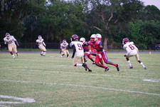 Enlarge photo 170