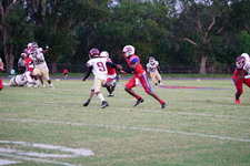 Enlarge photo 169