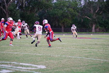 Enlarge photo 171