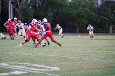Enlarge photo 172